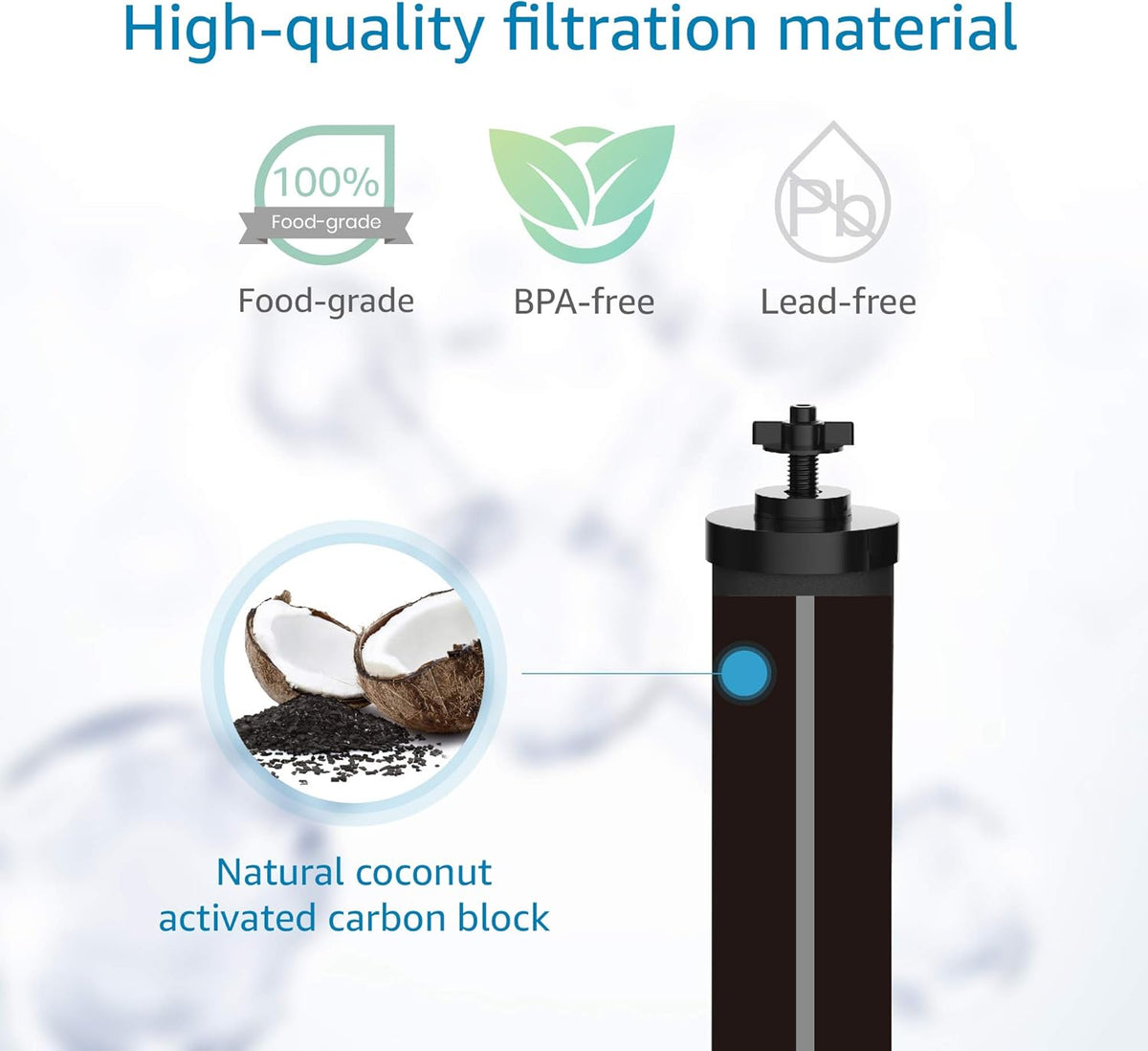 Black Purification Water Filter, Pack of 2 H16841